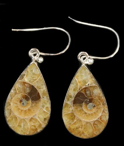 Fossil Ammonite Earrings - Sterling Silver #38135